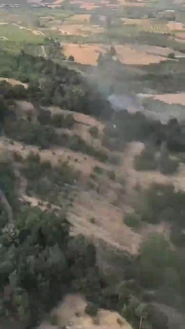 Bursa'da bir orman yangını daha çıktı!