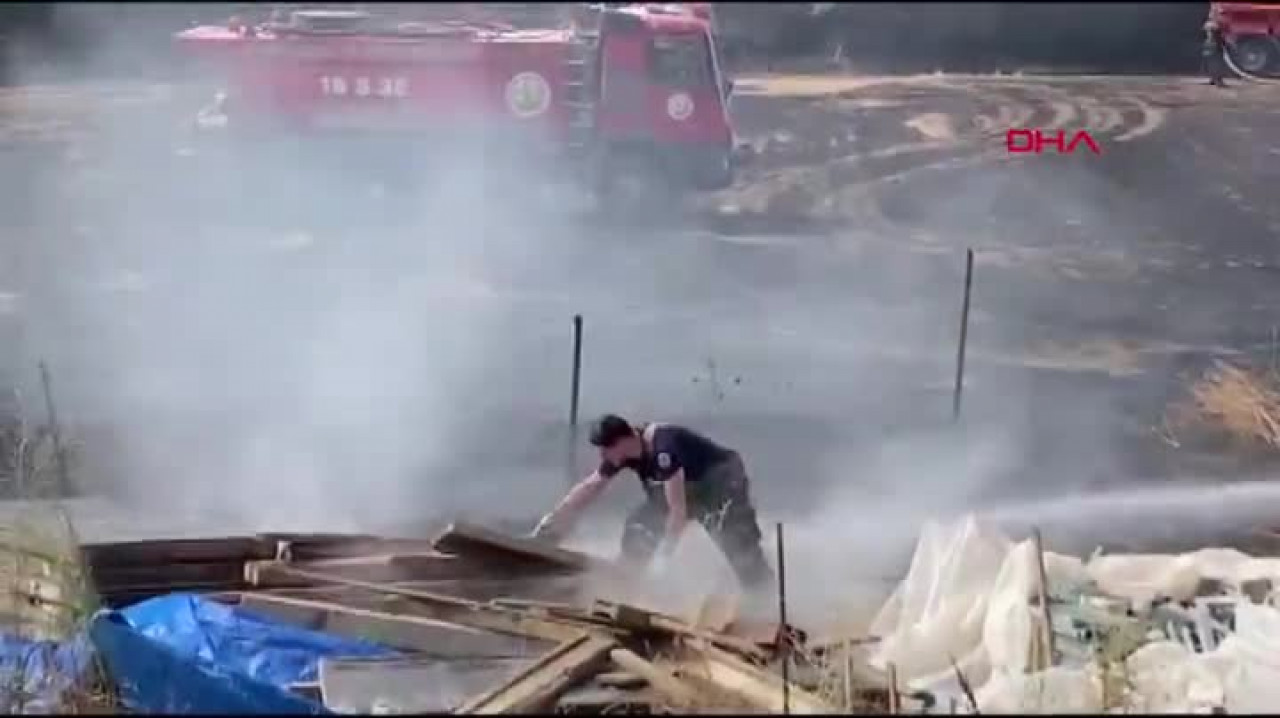 Anız yangını, ormana sıçramadan kontrol altına alındı