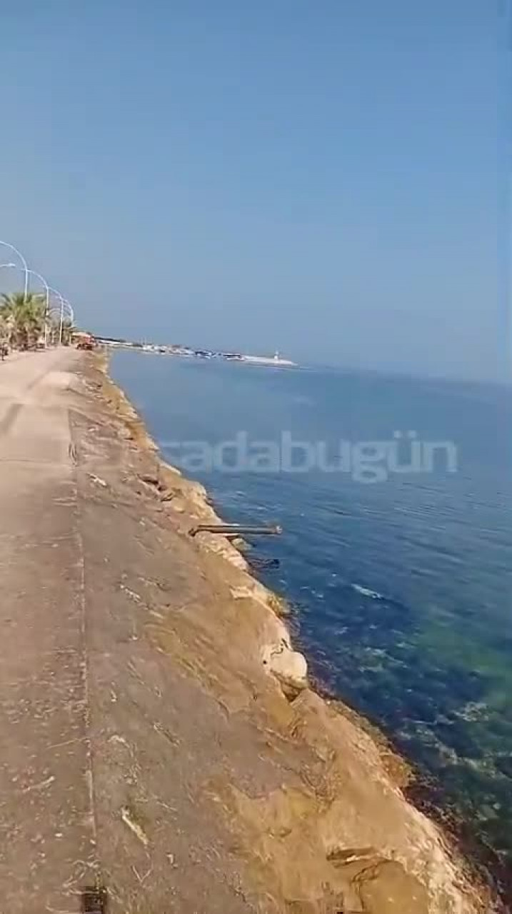 Bursa'da merdiven tepkisi! Vatandaş denize inemiyor