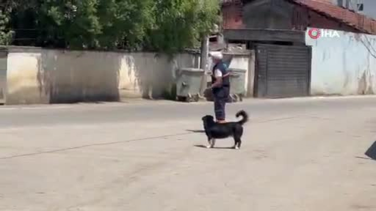 Bursa'da yürek burkan hikaye! Sahibinin ölümünü unutmadı, yeni dostunu hiç bırakmadı