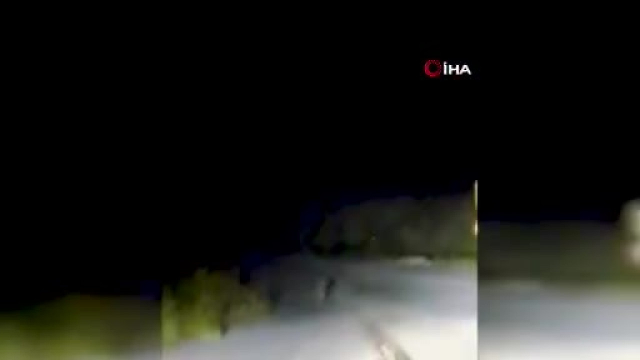 Far ışığını gören dev tavşan kaçtı