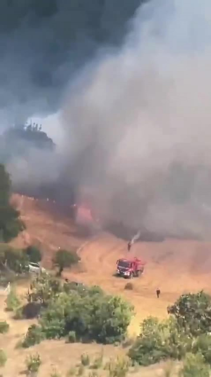 Bursa'nın iki komşu ilinde yangın alarmı! Havadan ve karadan müdahale sürüyor...