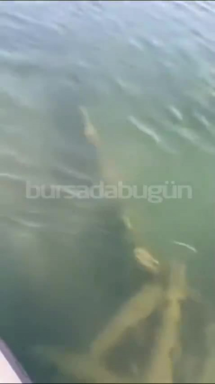 Bursa'da suların altında inanılmaz keşif! Yıllardır aranan sır gün yüzüne çıktı!