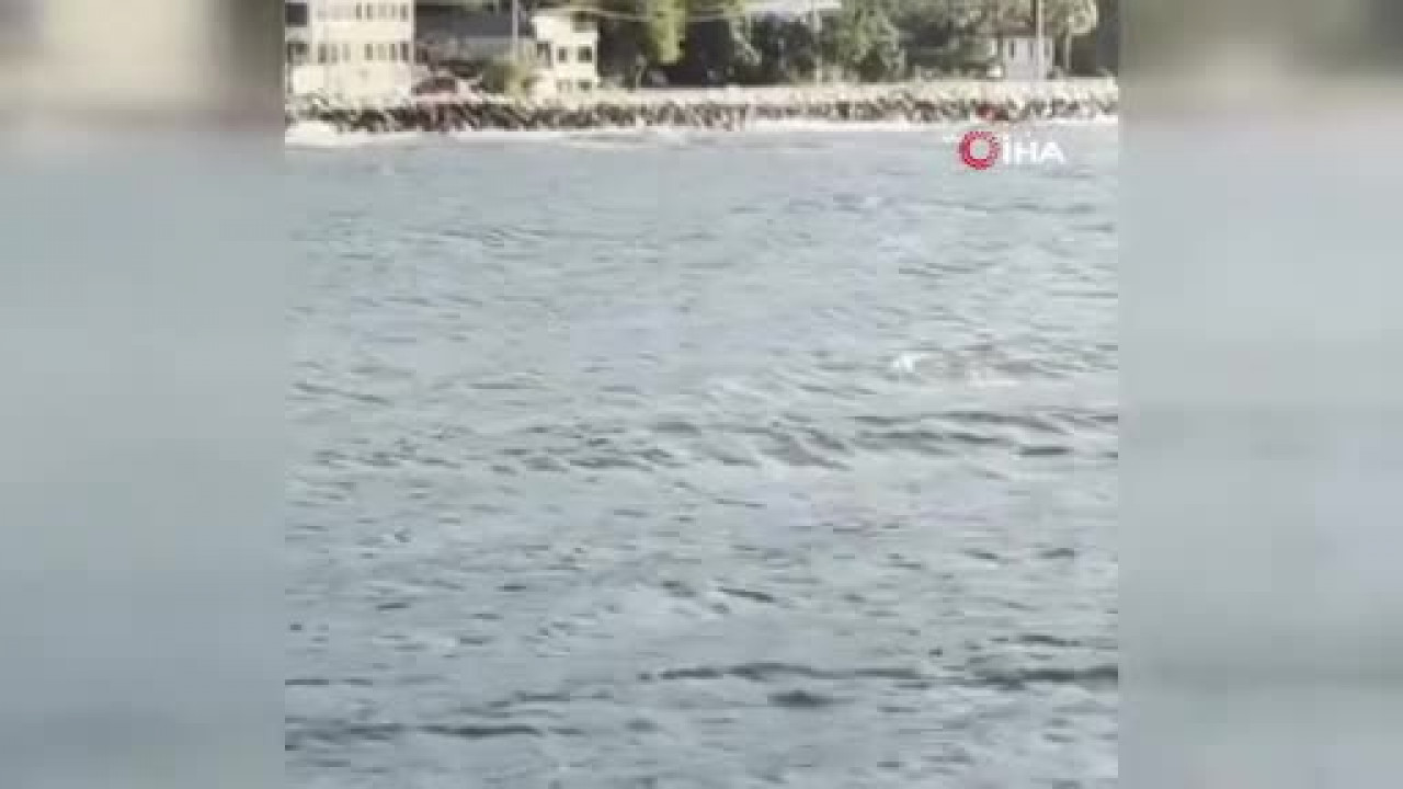 Bursa'da görsel şölen!