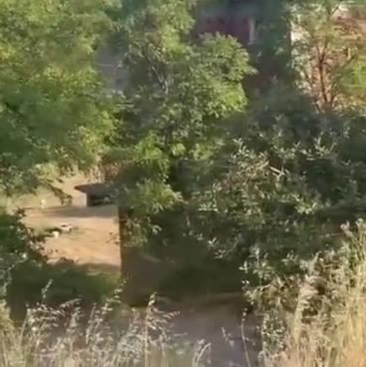 Bursa'da orman yangını son anda önlendi!