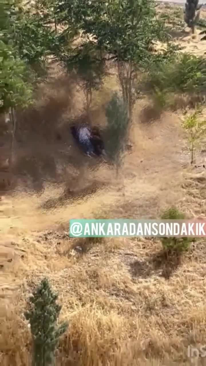 Aileler ve çocuklar oradaydı! Parkta uygunsuz şekilde görüntülendiler