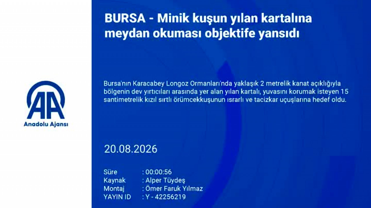Bursa'da şaşırtan doğa olayı!