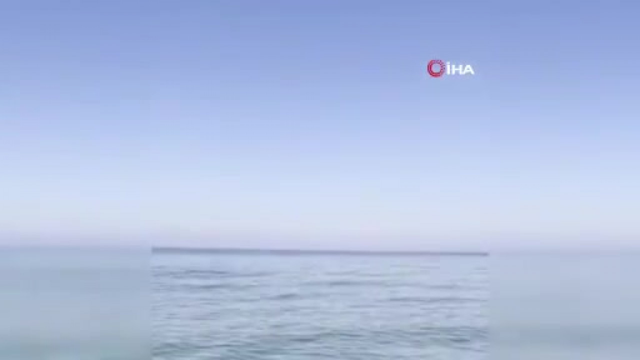 Bursa'da eşsiz anlar! Yunus sürüsü kıyıya böyle yaklaştı