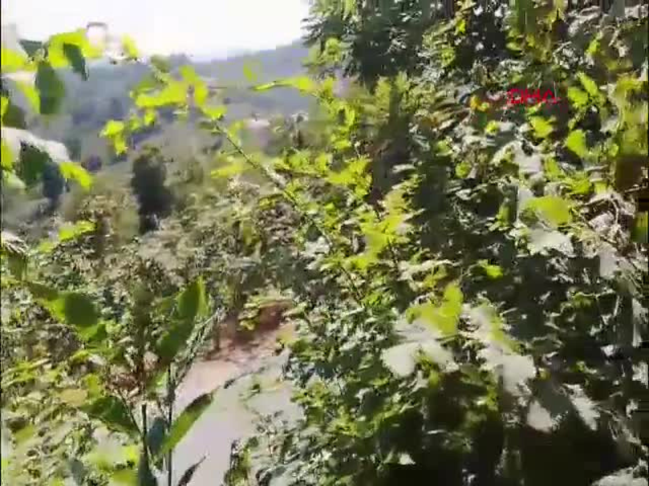 Elektrik dağıtım şirketine ait helikopter düştü!