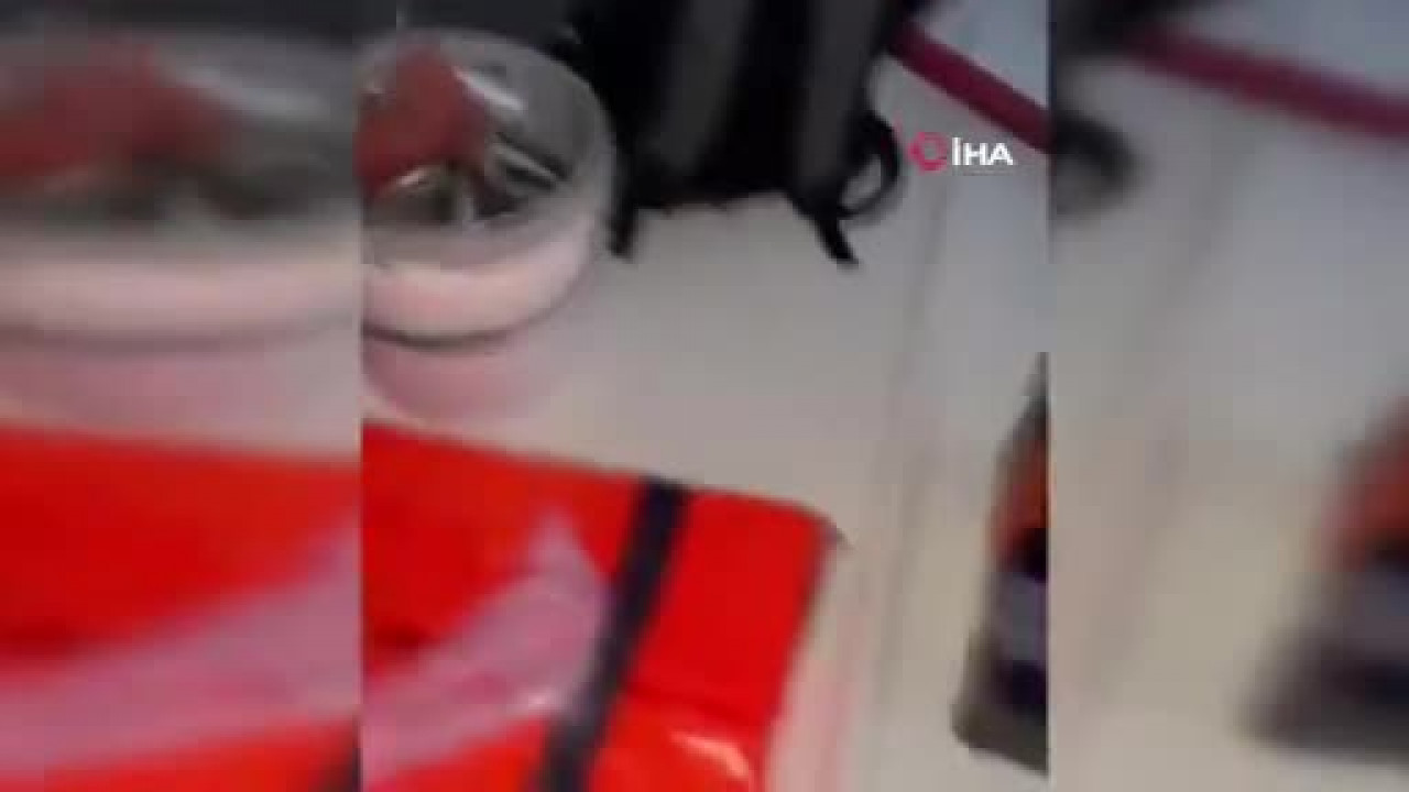 Karacabey sahillerinde istavrit bereketi