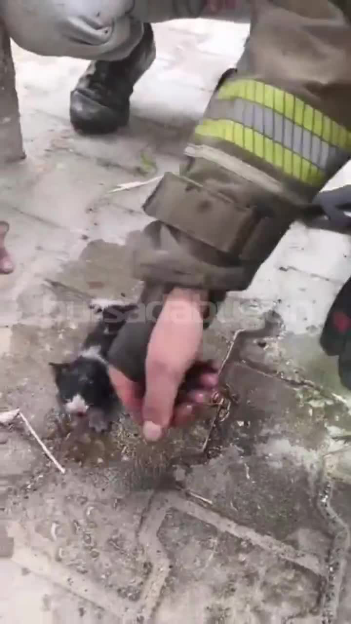 Bursa İtfaiyesi'ne büyük alkış! Alevlerin arasından çıkarıldı, yeniden hayata döndürüldü