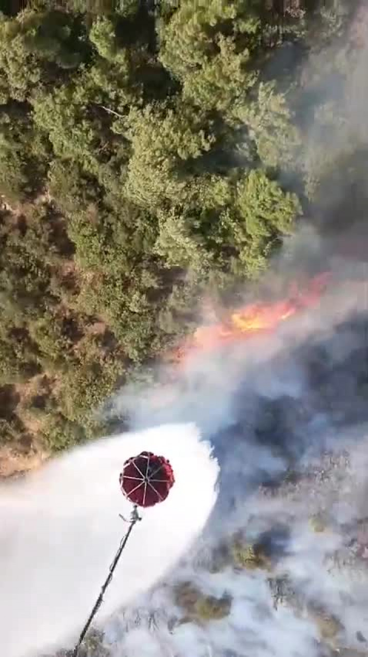 Bursa'da peş peşe orman yangınları! Alevler Uludağ'ın eteklerine sıçradı -1