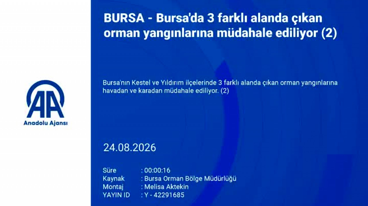 Bursa'da korkutan yangınlardan haber var!