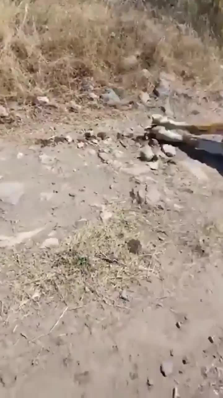 Emeği, gözlerinin önünde böyle yok oldu: Eli bıçak tutan herkes gelsin