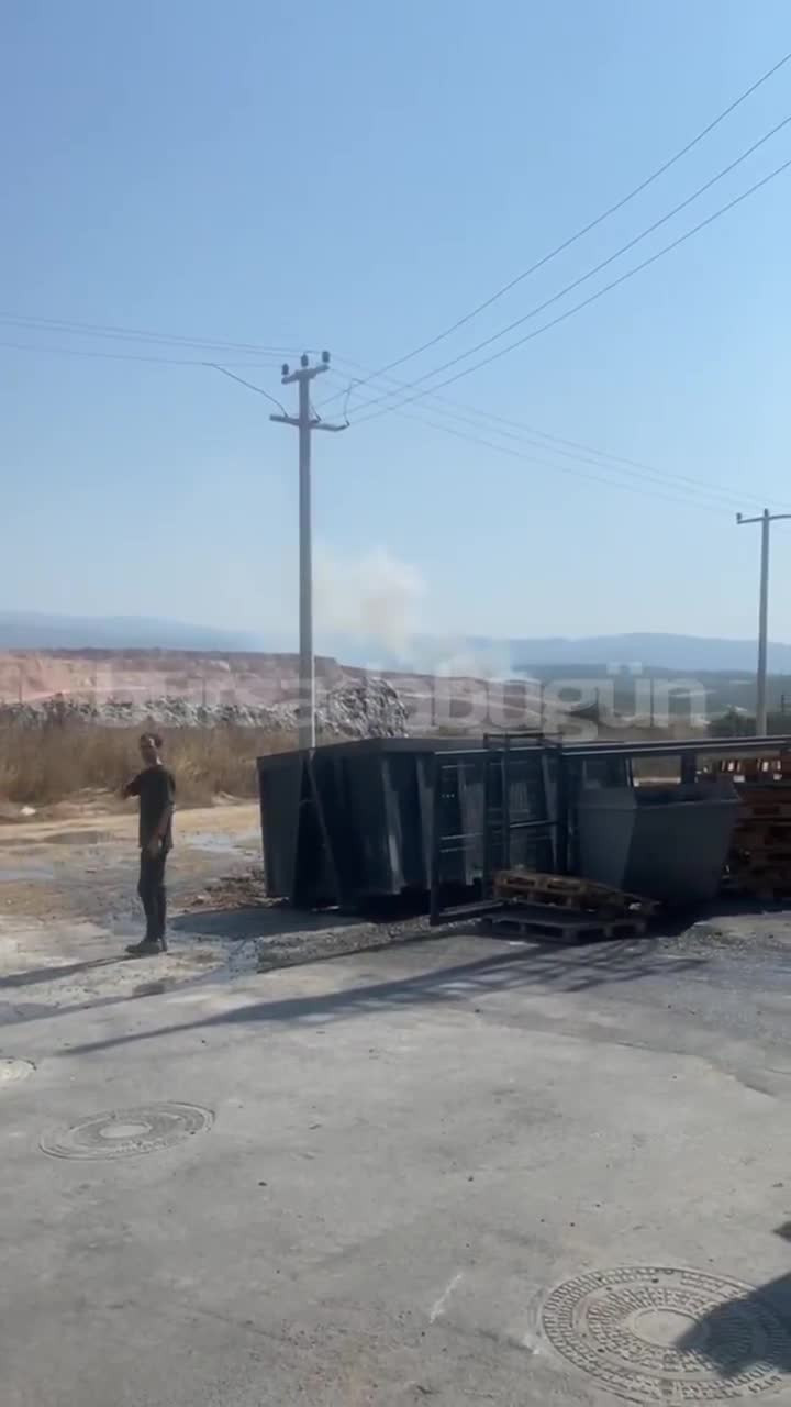 Bursa'da bir yangın daha! Bu kez farklı noktada alevler yükseldi 2