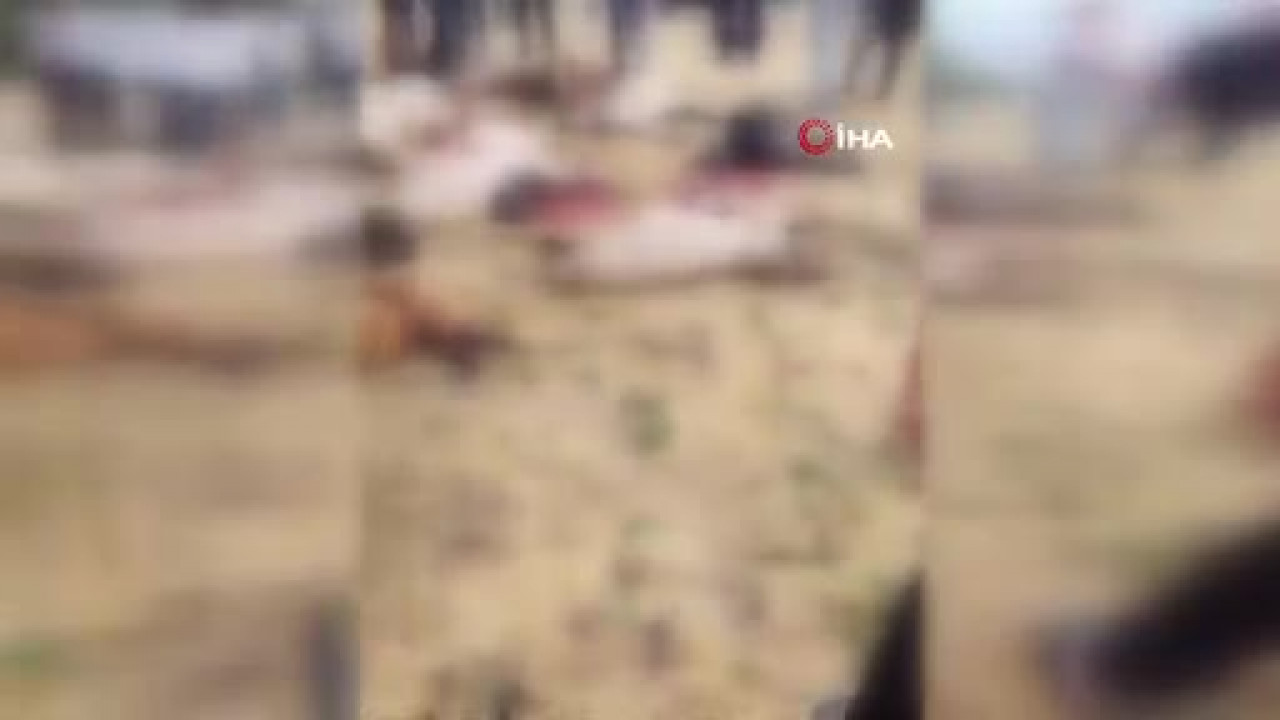 Otlatmak için araziye çıkardı! Hepsini birden kaybetti...