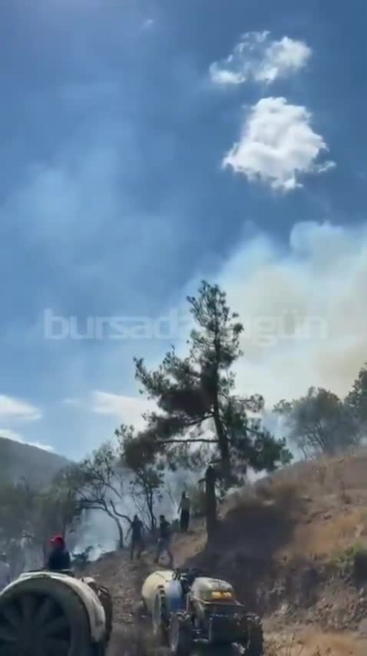 Bursa'da yerleşim yerinin dibinde orman yangını! Alevler dağa doğru yayılıyor...