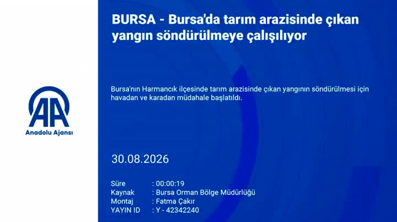 Bursa'da bir yangın daha! Müdahale sürüyor...