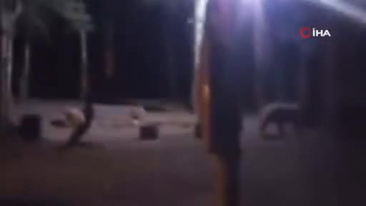 Uludağ'da çadır kuran ailenin yanına aç kalan ayı geldi