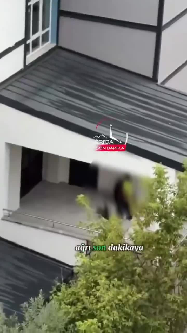 Okulun yanı başında skandal görüntü! Kimseye aldırış etmediler