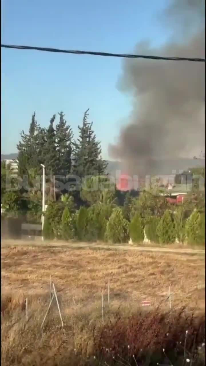 Bursa'da otoyol kenarında alevler büyüdü! Ekipler olay yerinde...
