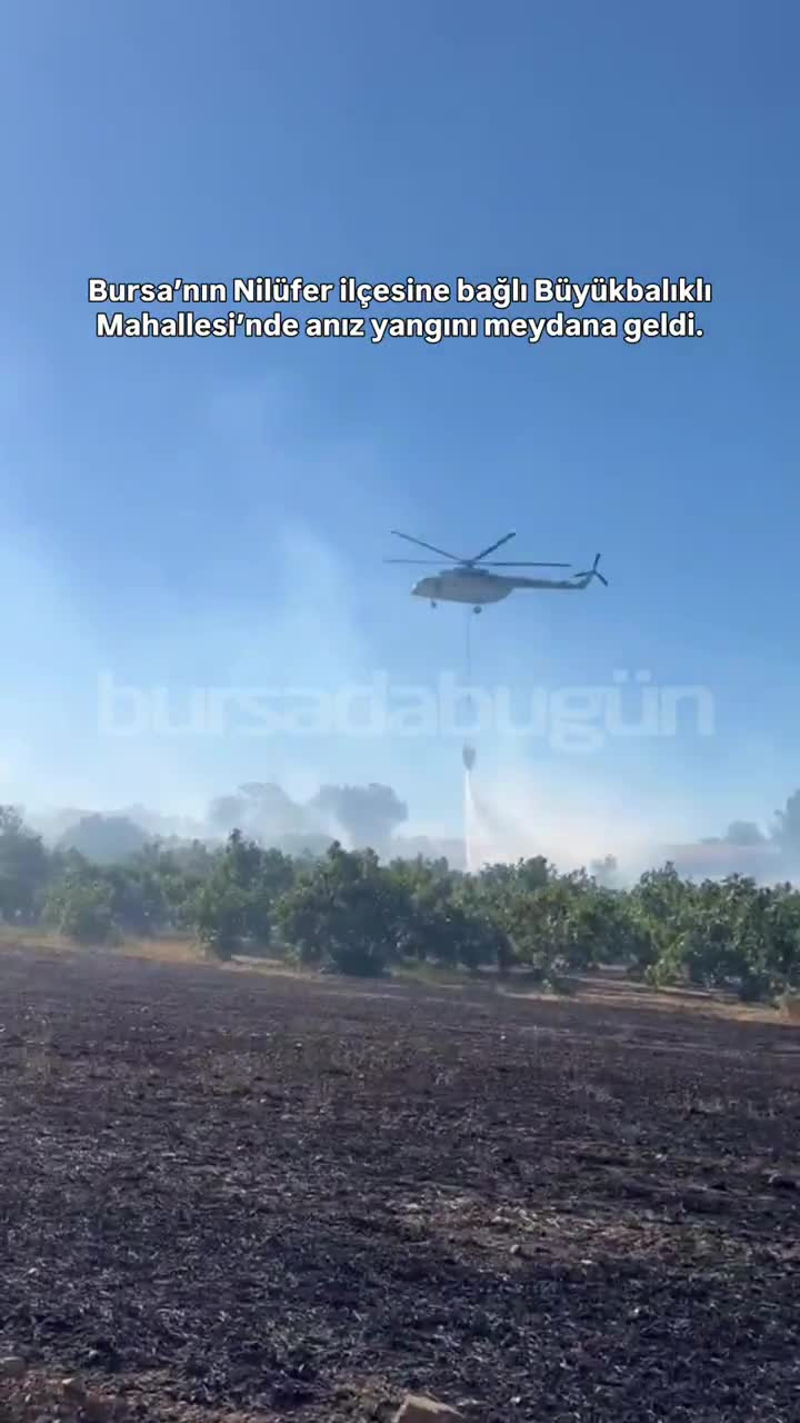 Bursa'da anız yangını: Ekiplerin müdahalesi sürüyor
