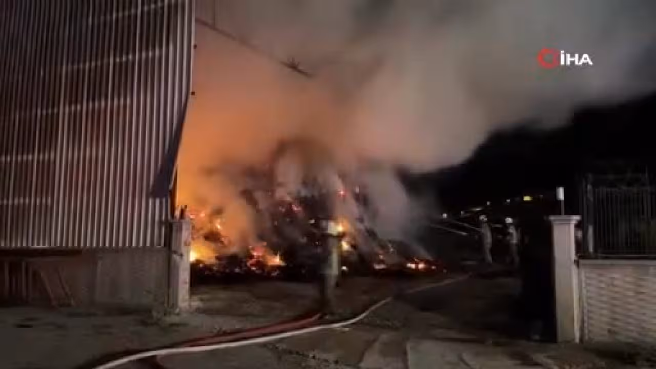 Bursa'da alevler yükseldi! İtfaiye ekipleri ...