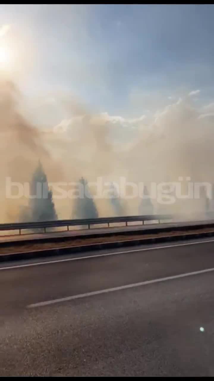 Bursa'da çevreyolunu dumanlar kapladı! Alevler hızla yayılıyor...