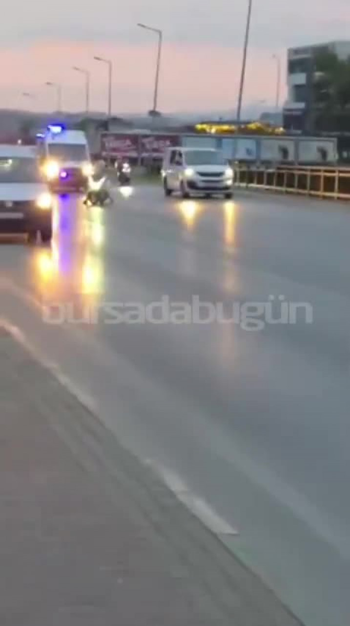 Bursa'da yürekleri burkan an! Yavru kediye araç çarptı, veteriner çift trafiği durdurup kurtardı