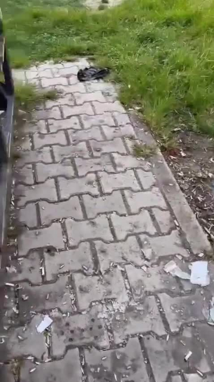 Parkları çocuklara bırakın! Bursa'da tepki çeken görüntüler