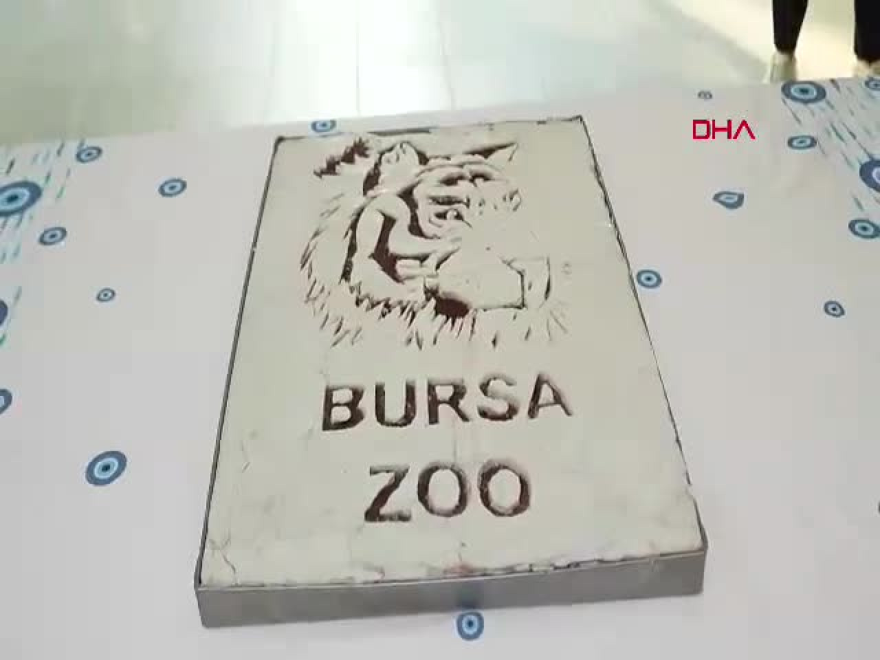 Türkiye'de bir tane var, o da Bursa'da! Gidip görebilirsiniz...
