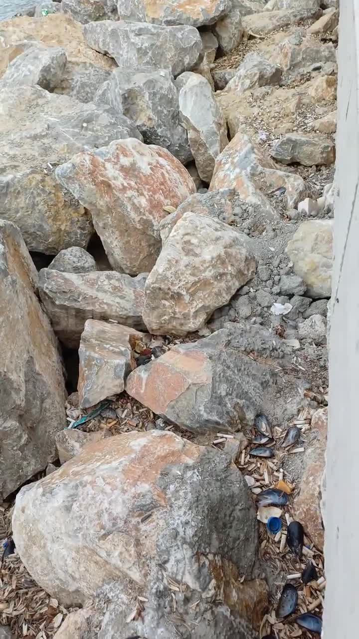 Bursa'da denize doğru çöp manzarası!