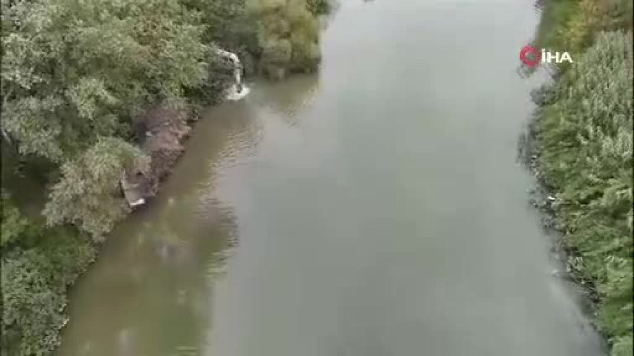 Bursa'da her yıl olduğu gibi bu yılda toplu balık ölümü oldu!