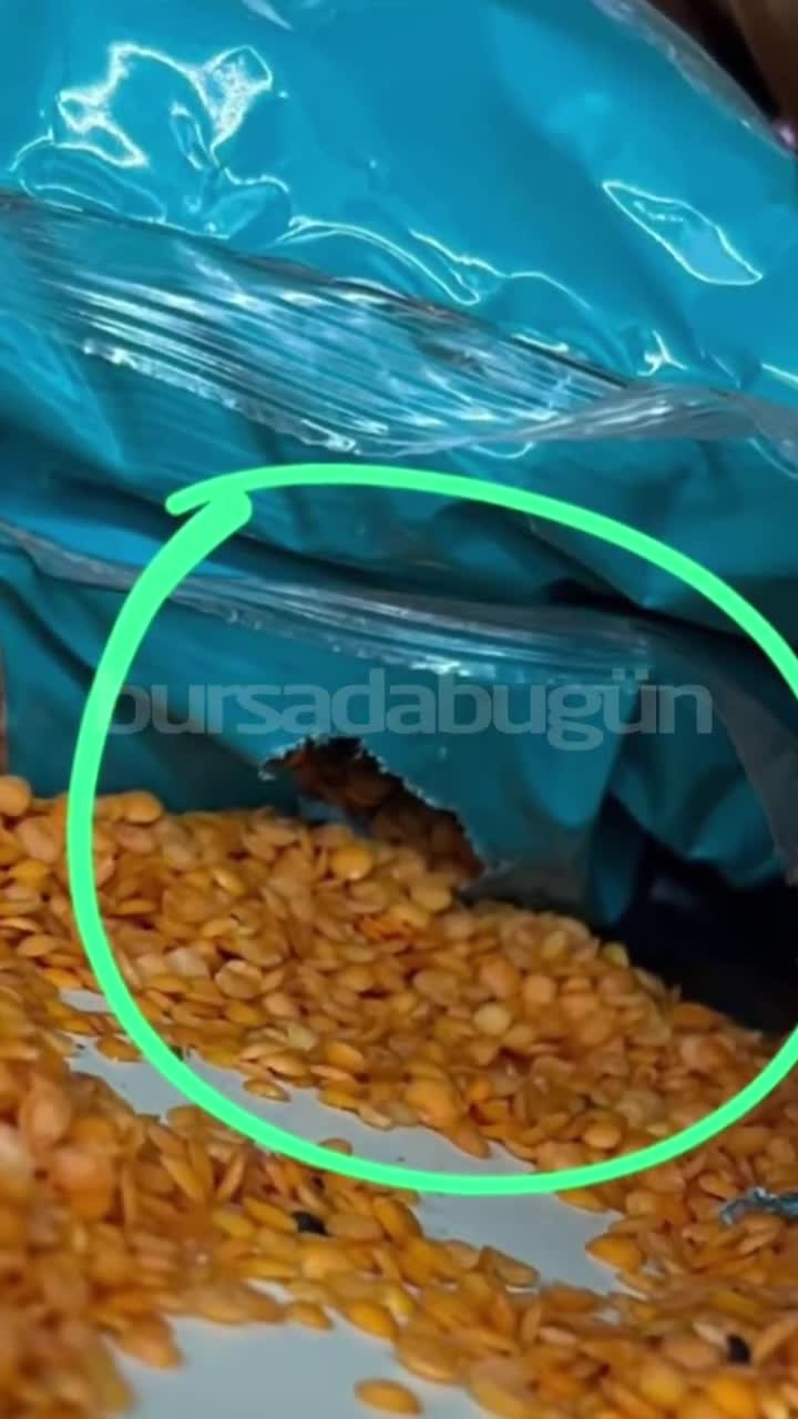 Bursa'daki ünlü zincir markette fare skandalı! Her şeyi kemirmişler...