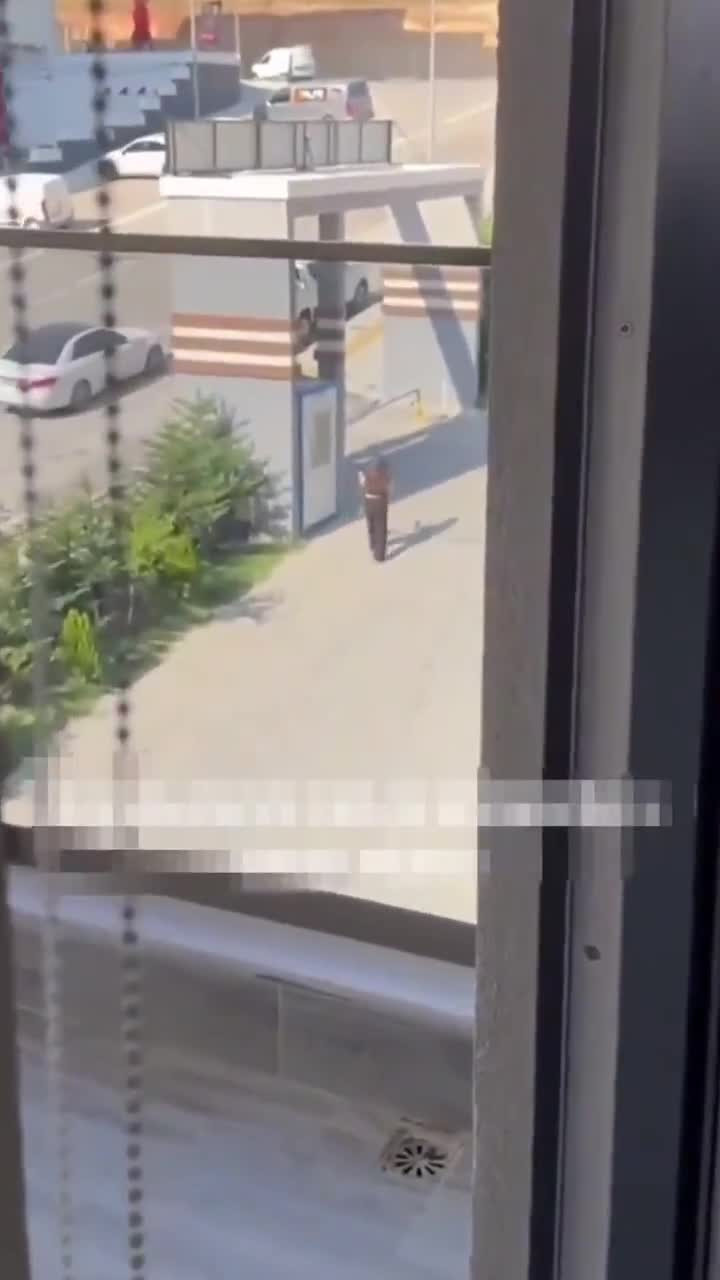 Komşuları, erkek arkadaşıyla buluşan genç kızı gizlice kayda alıp...