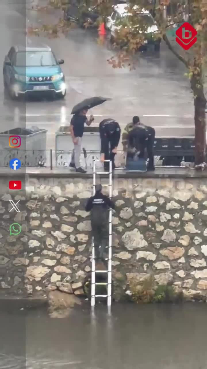 Bursa'da minik kedi için yağmur altında kurtarma seferberliği