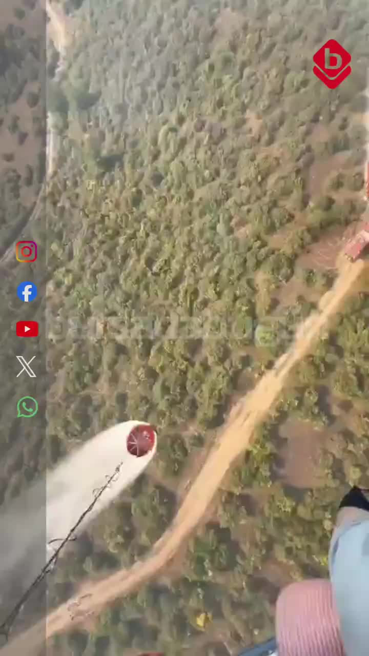 Bursa'da orman yangınına rüzgar engeli! Alevler ilerliyor