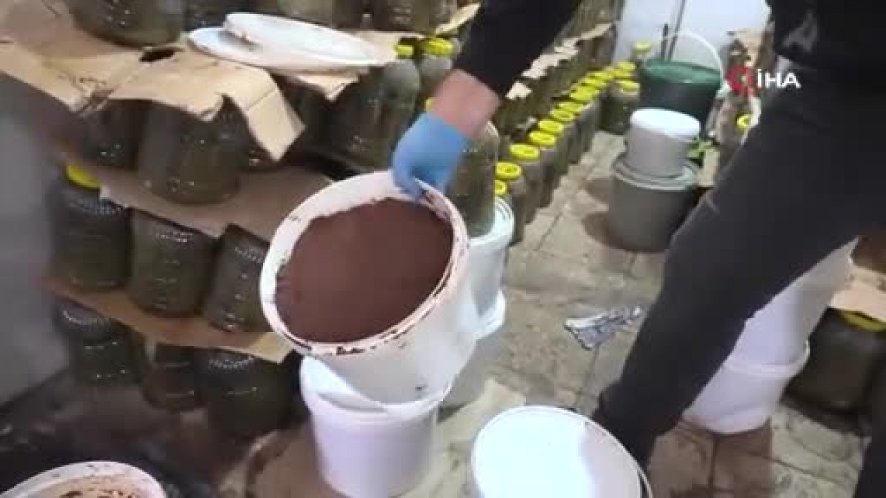 Bursa'da şoke eden görüntü! Ruhsatsız depodan 6,5 ton küflü gıda çıktı