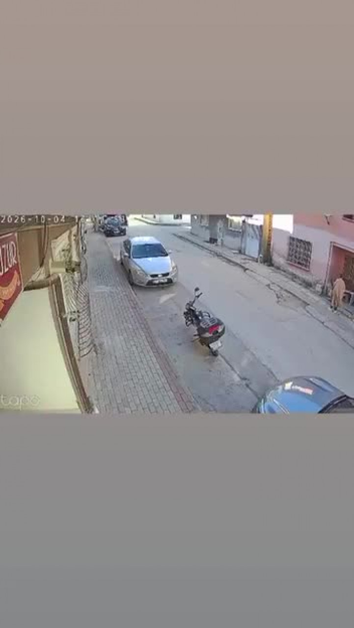 Bursa'da pes dedirten olay! Sokak hayvanlarının mama kaplarını da alıp götürdü