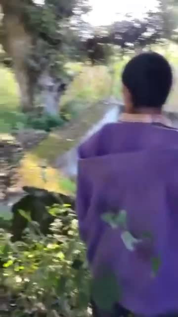 Ormanda çığlık sesi duydular! Çukura bakınca dehşete düştüler