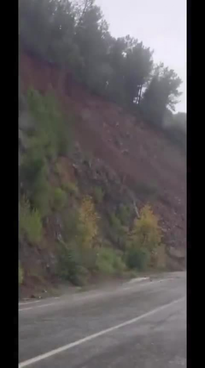Gemlik - Armutlu yolunda heyelan! Çam ağaçları yola doğru kaydı