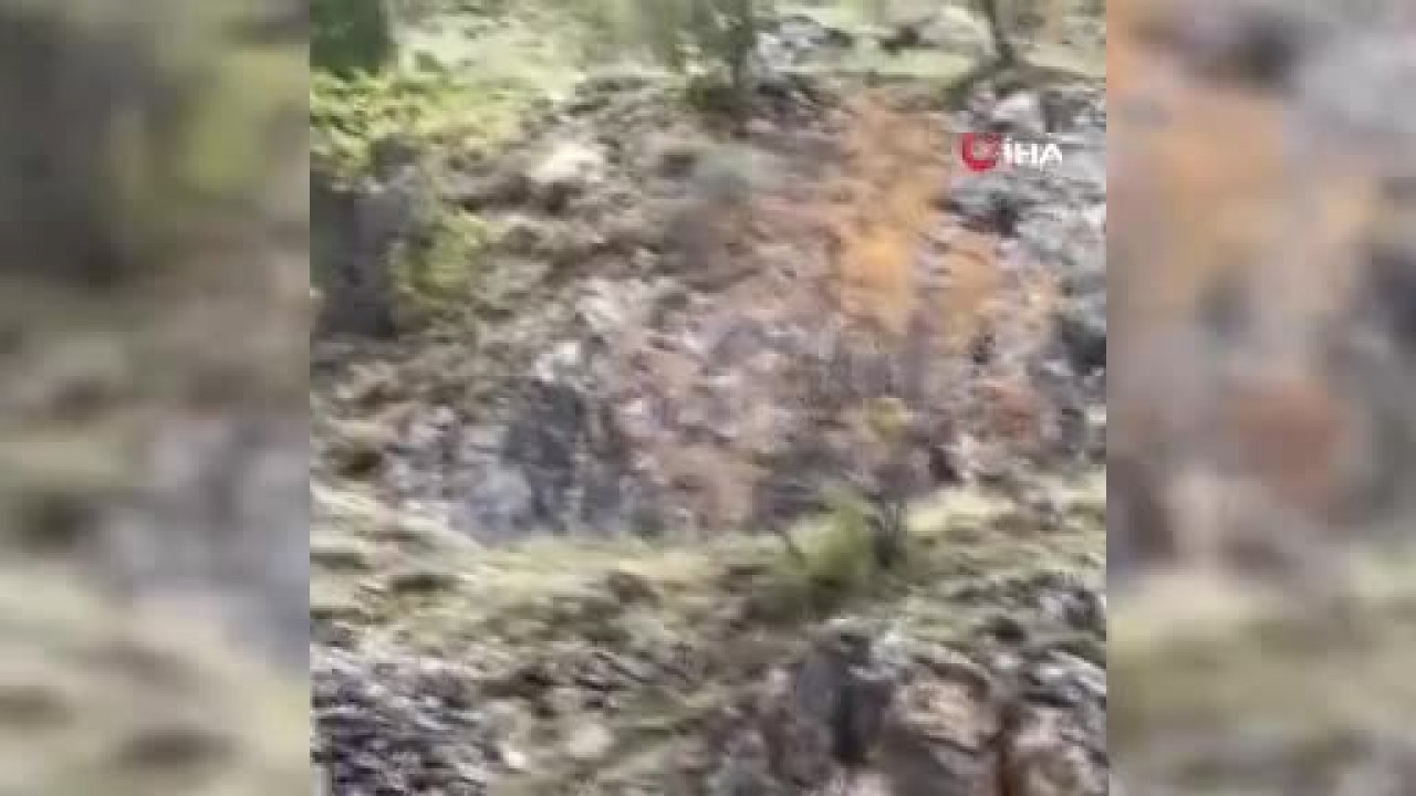 Görüntü Türkiye'den! Tek turu yapanlar tesadüfen kaydetti