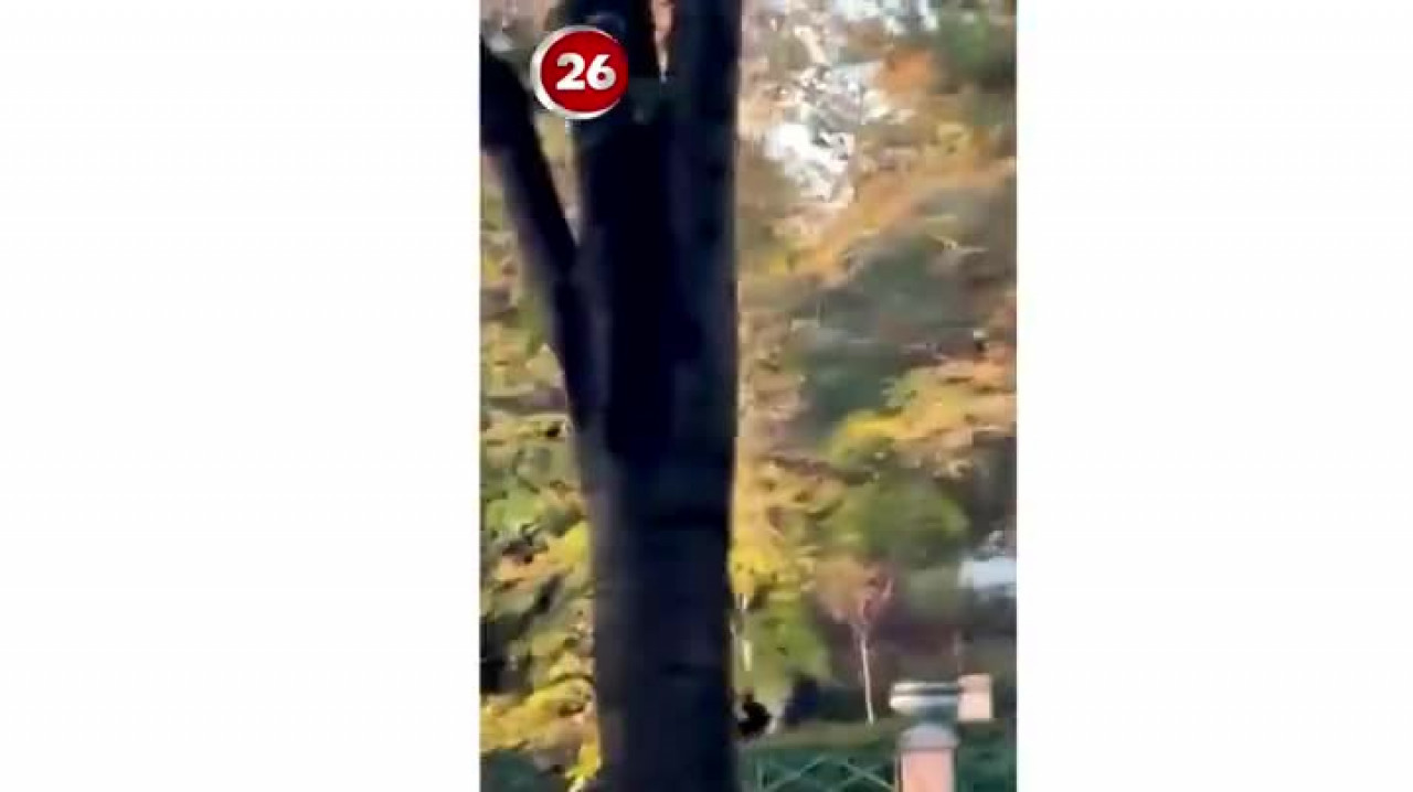 Görüntü Türkiye'den! Şehrin simge noktasını 'sevişme' alanına çevirdiler