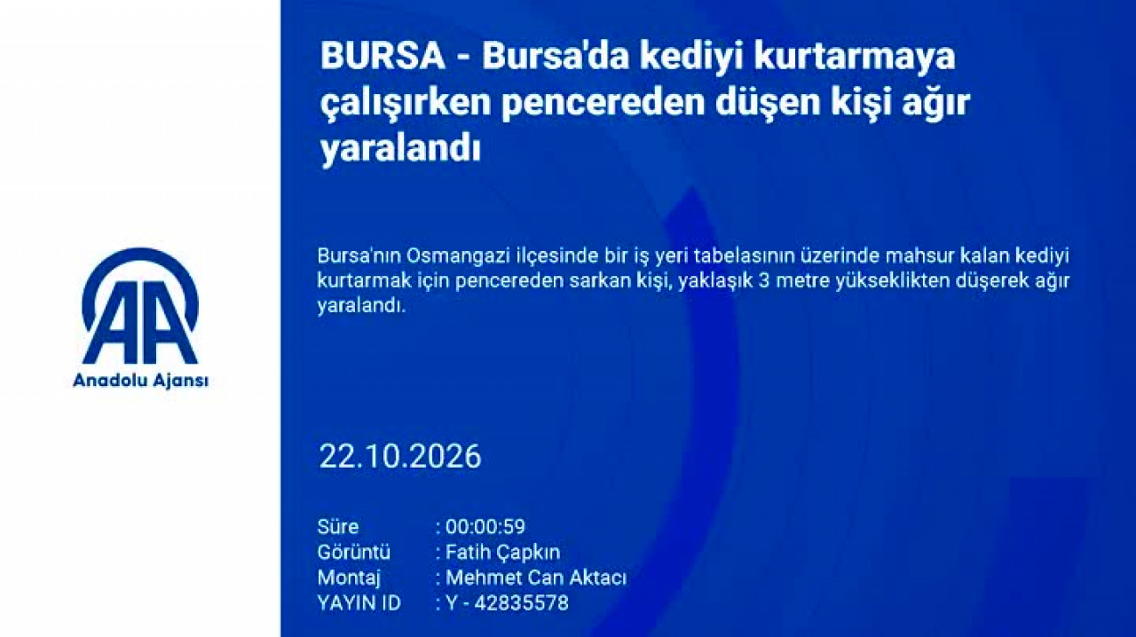 Bursa'da kedi kurtarma girişimi kötü bitti! Hayati tehlikesi var
