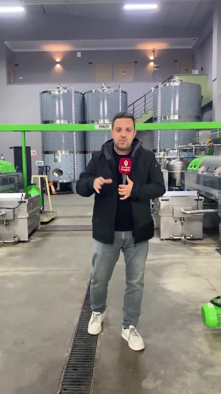 Bursa'da bu yıl ne kadar zeytinyağı üretilecek?