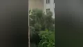 Bursa'da gökyüzü bir anda karardı! 'Squall L...