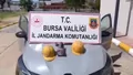 Bursa'da Antik Roma mezarlarında kaçak kazıy...