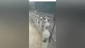Bursa'da ünlü otelin önünde 5 aracın karıştı...