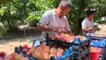 Bursa'da şeftali hasadı başladı! Üreticiden ...