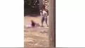 Böyle evlat olmaz olsun! Yaşlı annesine dehş...